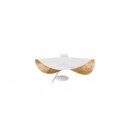 Lederam Manna CWS1 ceiling or wall Lamp