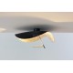 Lederam Manna CWS1 ceiling or wall Lamp