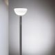 AM2Z Floor Lamp