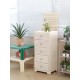 Dulton Retro Vintage style Cabinet 5 Drawers