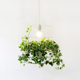 Suspension design cage plante