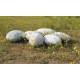 Pouf design rocher galet Collection Mercure set de 6pcs